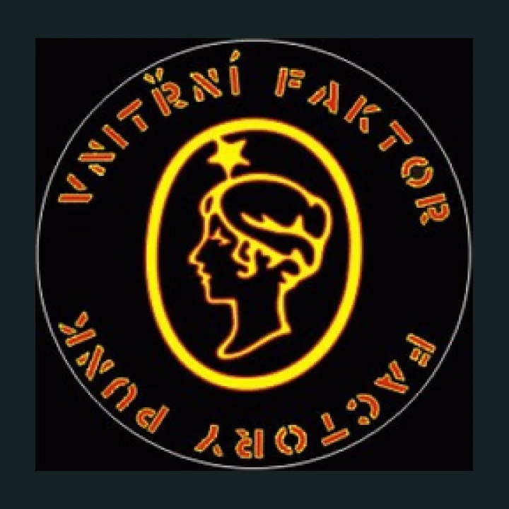 Vnitřní Faktor